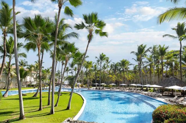 Lagoon-style pool framed by tall palms and lawns