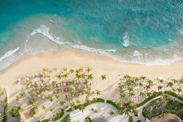 Overhead view of turquoise surf meeting the white sand beach and palms