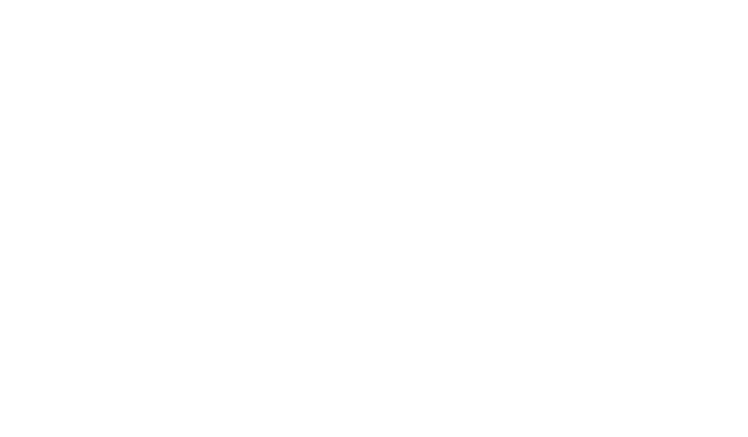 Original Elite Kosher Travel logo